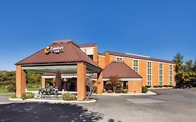 Comfort Inn Lexington Virginia Horse Center